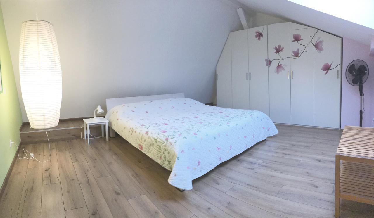 부르넨 Haus Eleisa 아파트 외부 사진